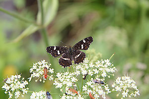 Urlaub im Bayerischen Wald